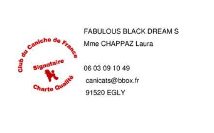 Fabulous Black Dream's - Elevage signataire Charte du Club du Caniche de France